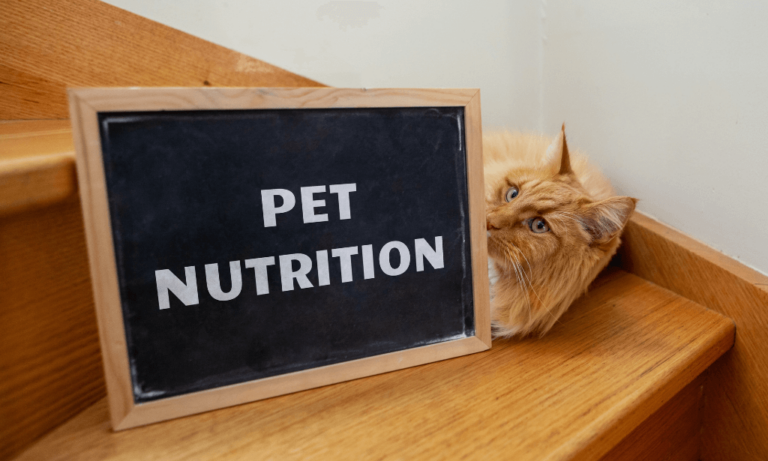 Pet Nutrition Diploma Level 3