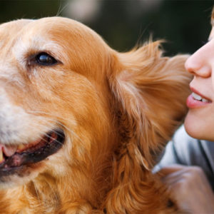 Canine First Aid (Dog First Aid)