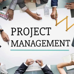 "Associate in Project Management