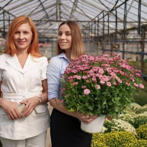 Garden Design and Landscaping for Beginners