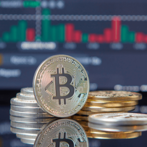 Crypto Trading Training