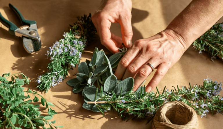 Herbal Remedies for Cold and Flu