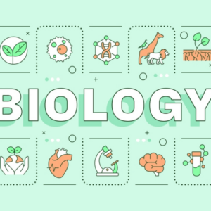 GCSE Biology: Asexual and Sexual Reproduction
