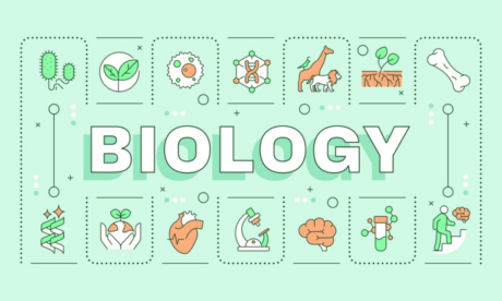 GCSE Biology: Asexual and Sexual Reproduction