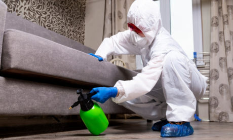 Pest Control Training