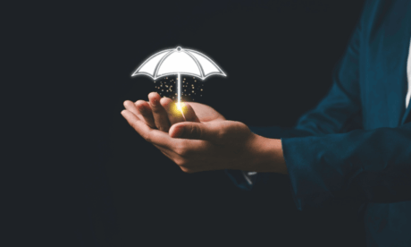 Safeguarding Level 3