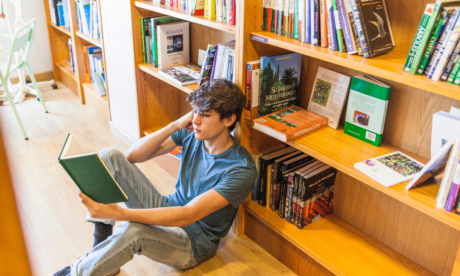 Library and Information Science diploma