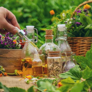 Alternative Medicine Diploma