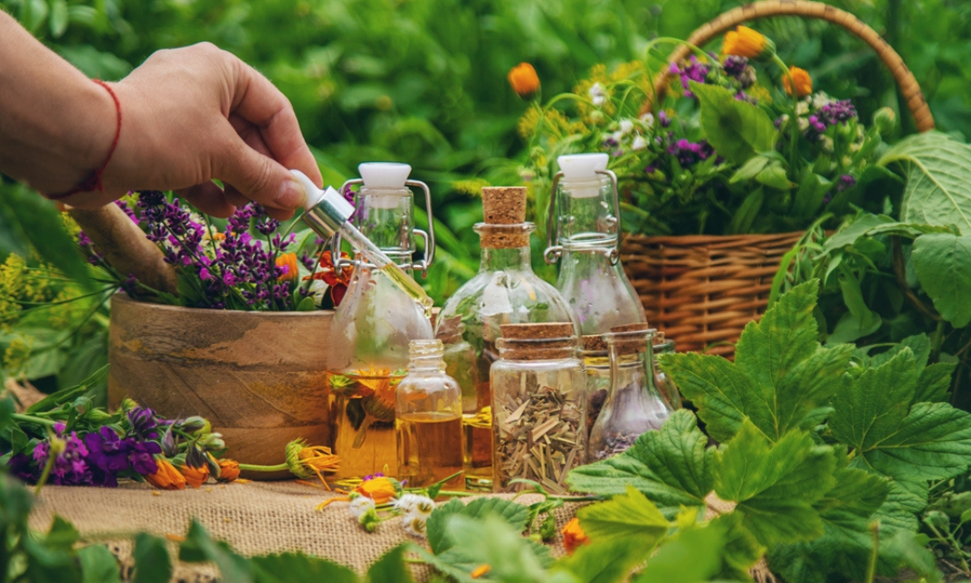 Alternative Medicine Diploma