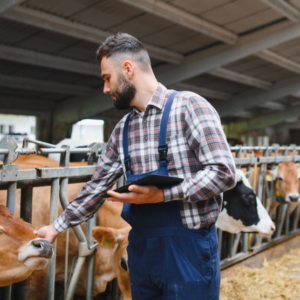 Livestock Management