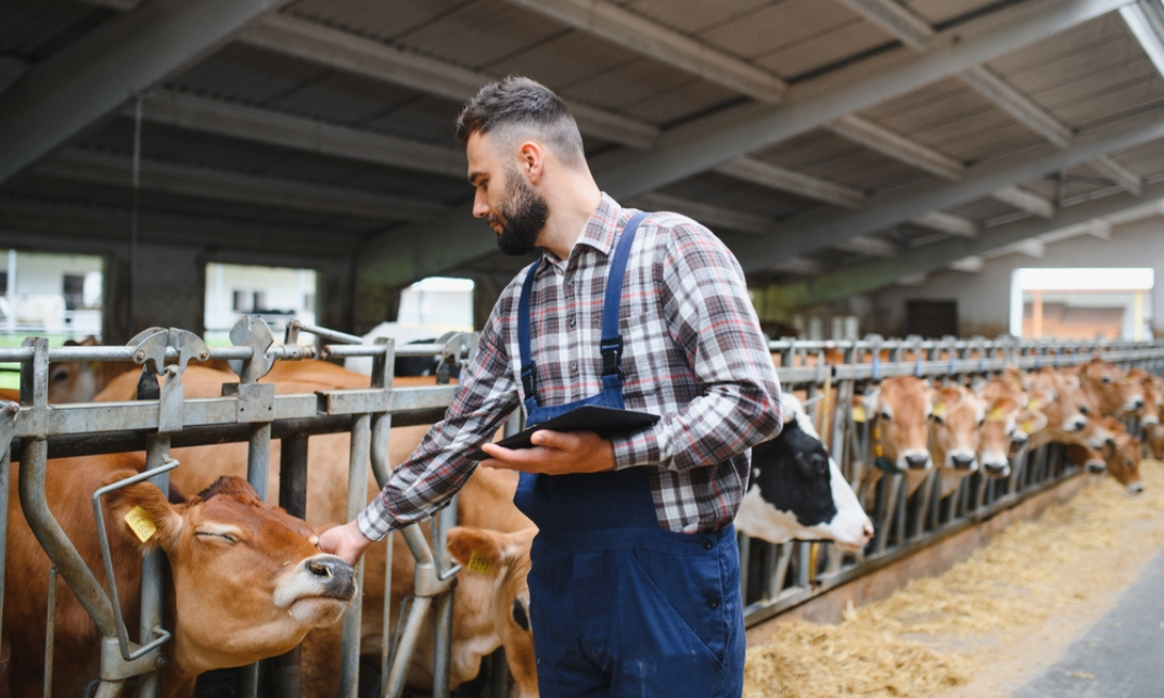 Livestock Management